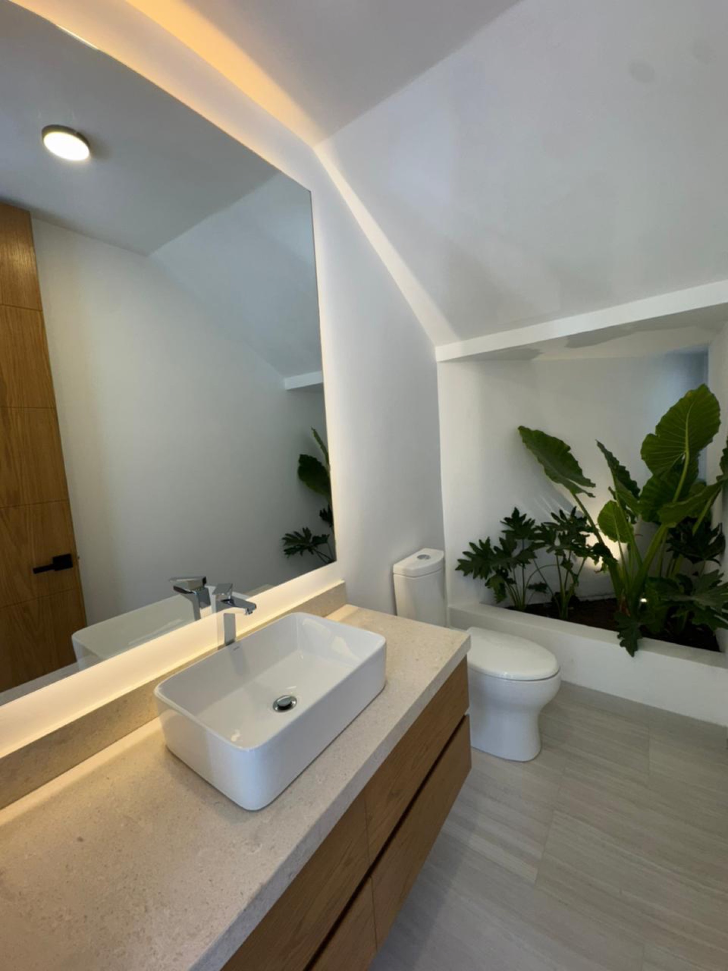 Baño con jardín interior
